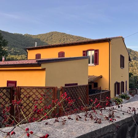 B&B La Fucinaia Pet Friendly Adults Only 坎丕里亚麦利蒂玛 外观 照片