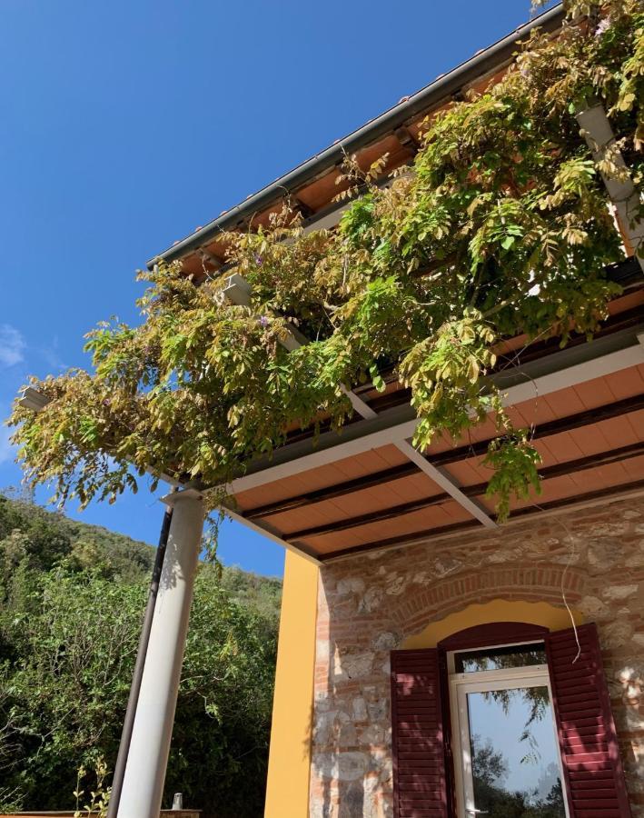 B&B La Fucinaia Pet Friendly Adults Only 坎丕里亚麦利蒂玛 外观 照片