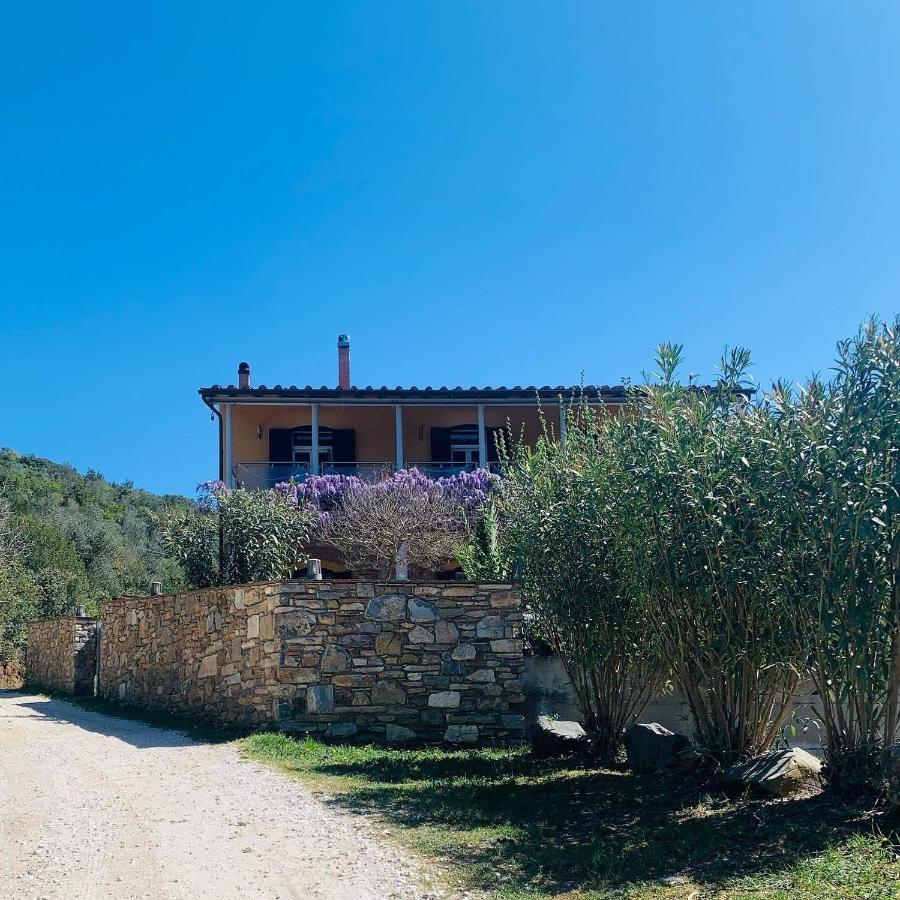 B&B La Fucinaia Pet Friendly Adults Only 坎丕里亚麦利蒂玛 外观 照片