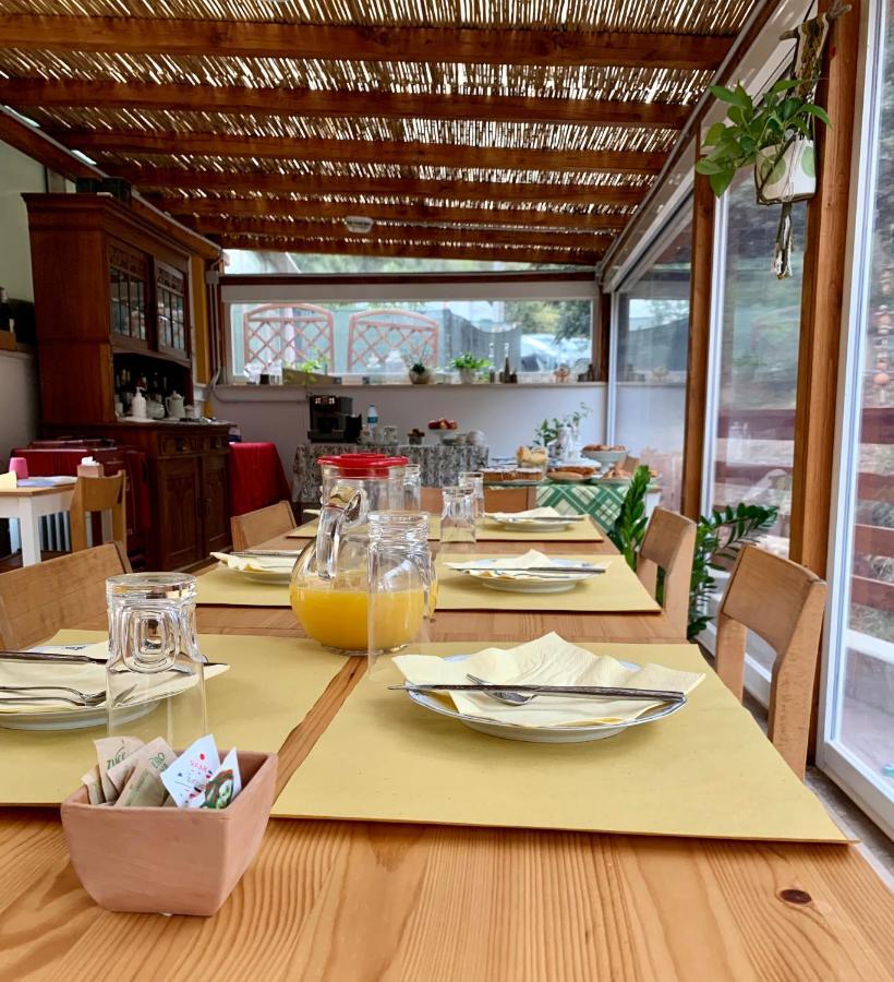 B&B La Fucinaia Pet Friendly Adults Only 坎丕里亚麦利蒂玛 外观 照片