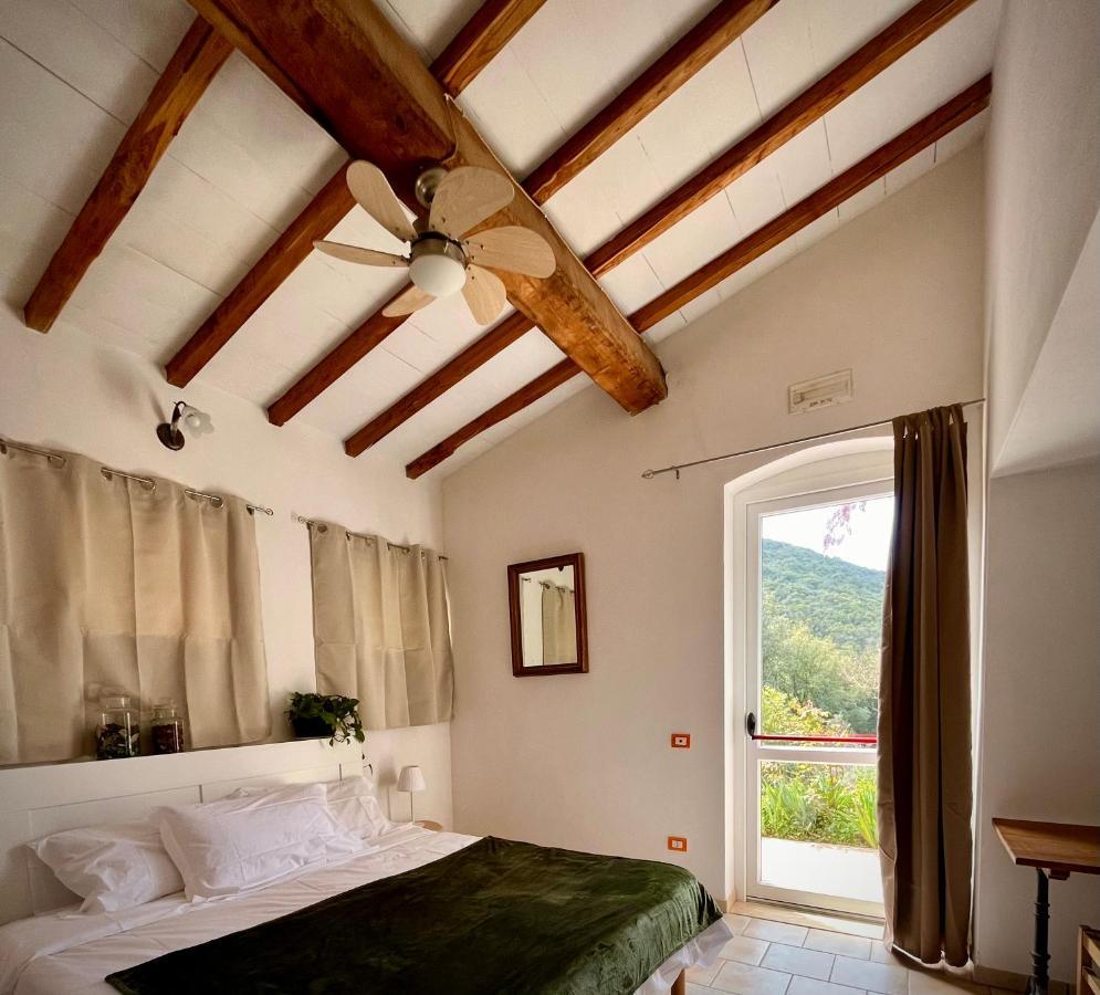 B&B La Fucinaia Pet Friendly Adults Only 坎丕里亚麦利蒂玛 外观 照片