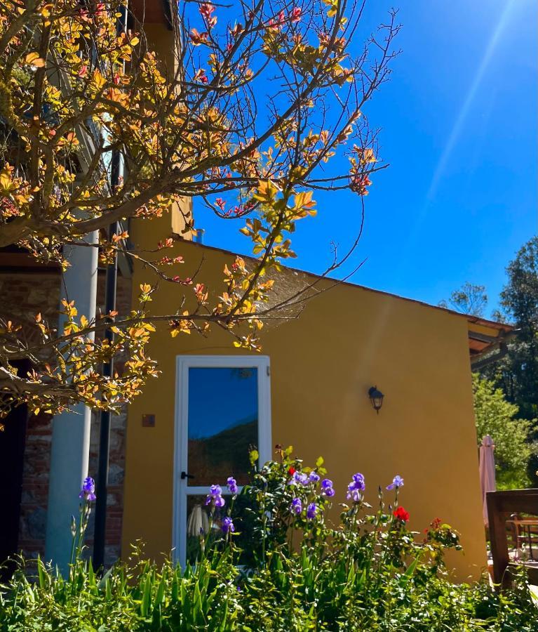 B&B La Fucinaia Pet Friendly Adults Only 坎丕里亚麦利蒂玛 外观 照片