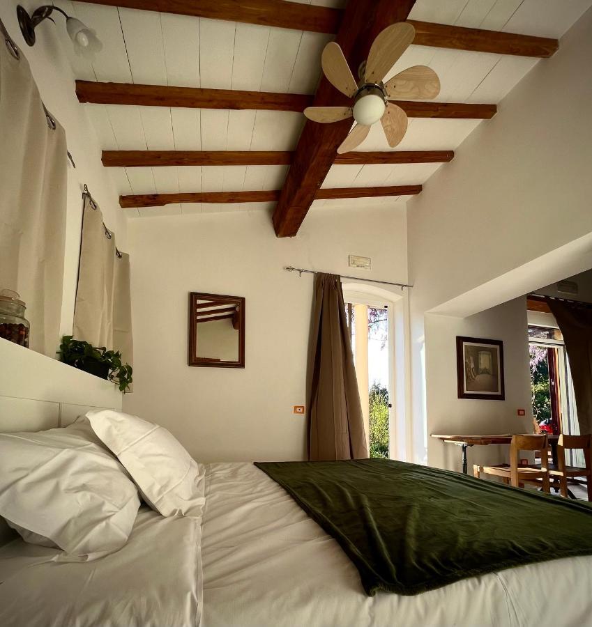 B&B La Fucinaia Pet Friendly Adults Only 坎丕里亚麦利蒂玛 外观 照片