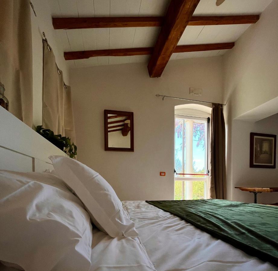B&B La Fucinaia Pet Friendly Adults Only 坎丕里亚麦利蒂玛 外观 照片