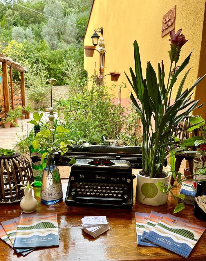 B&B La Fucinaia Pet Friendly Adults Only 坎丕里亚麦利蒂玛 外观 照片