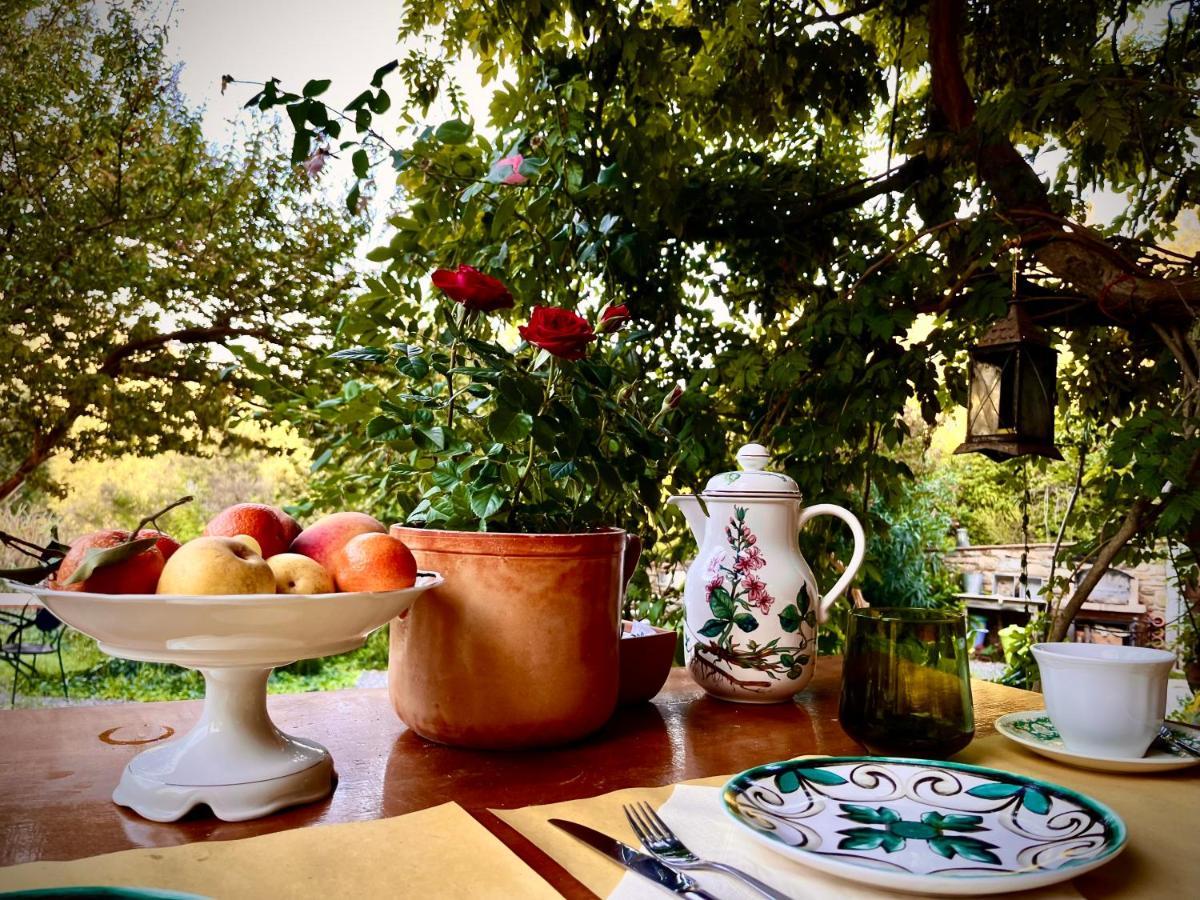 B&B La Fucinaia Pet Friendly Adults Only 坎丕里亚麦利蒂玛 外观 照片