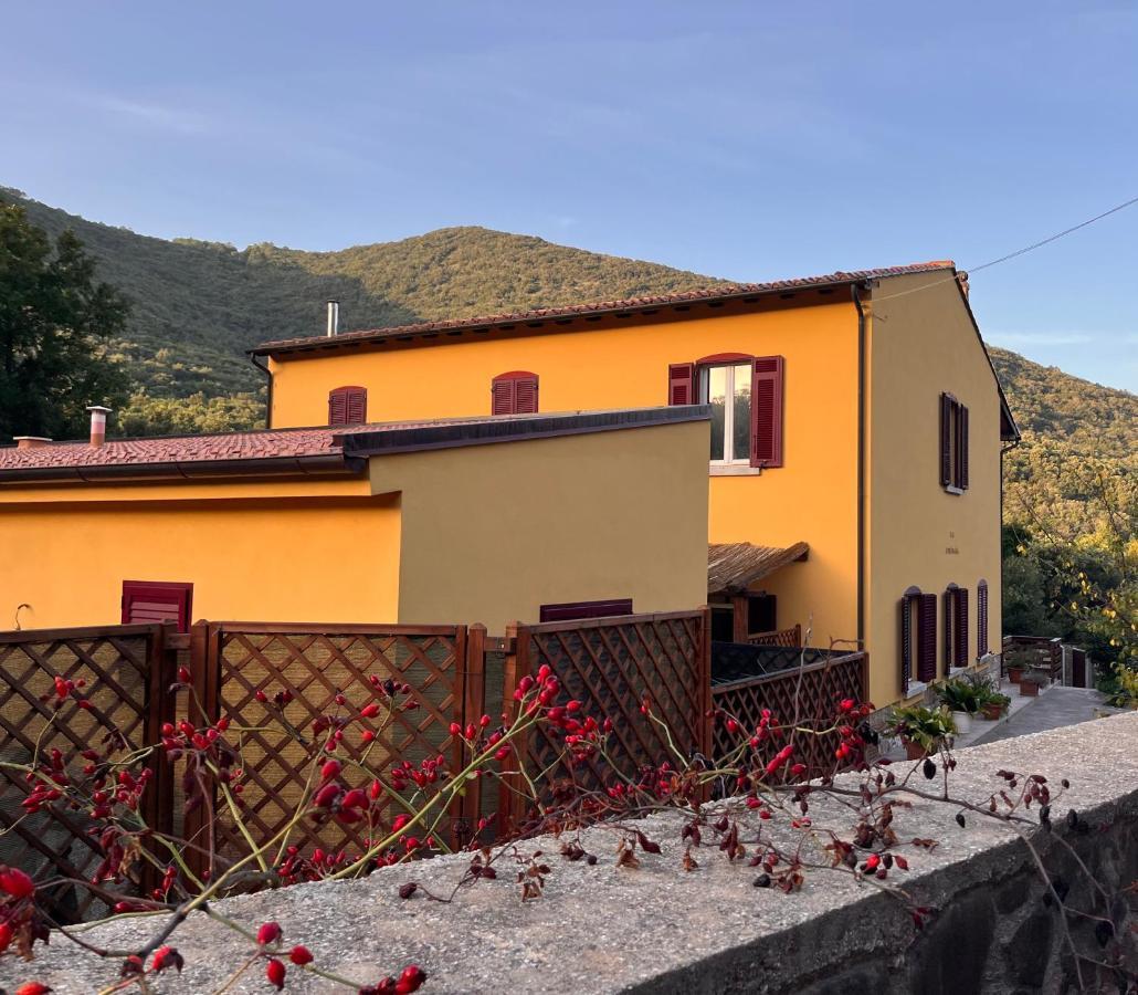 B&B La Fucinaia Pet Friendly Adults Only 坎丕里亚麦利蒂玛 外观 照片