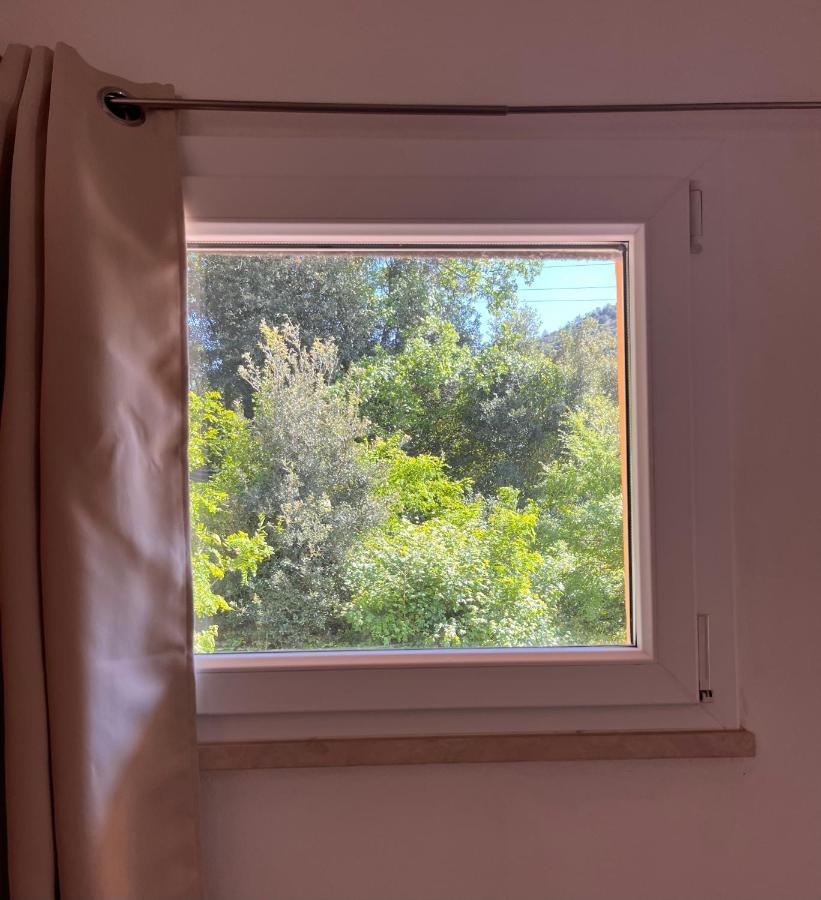 B&B La Fucinaia Pet Friendly Adults Only 坎丕里亚麦利蒂玛 外观 照片