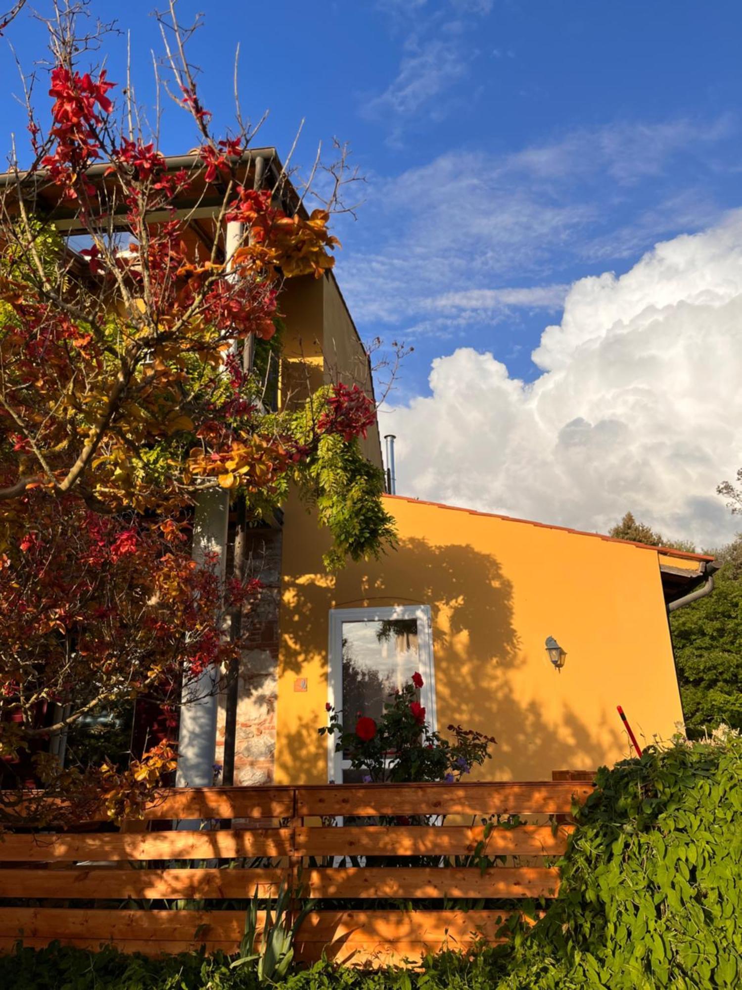 B&B La Fucinaia Pet Friendly Adults Only 坎丕里亚麦利蒂玛 外观 照片