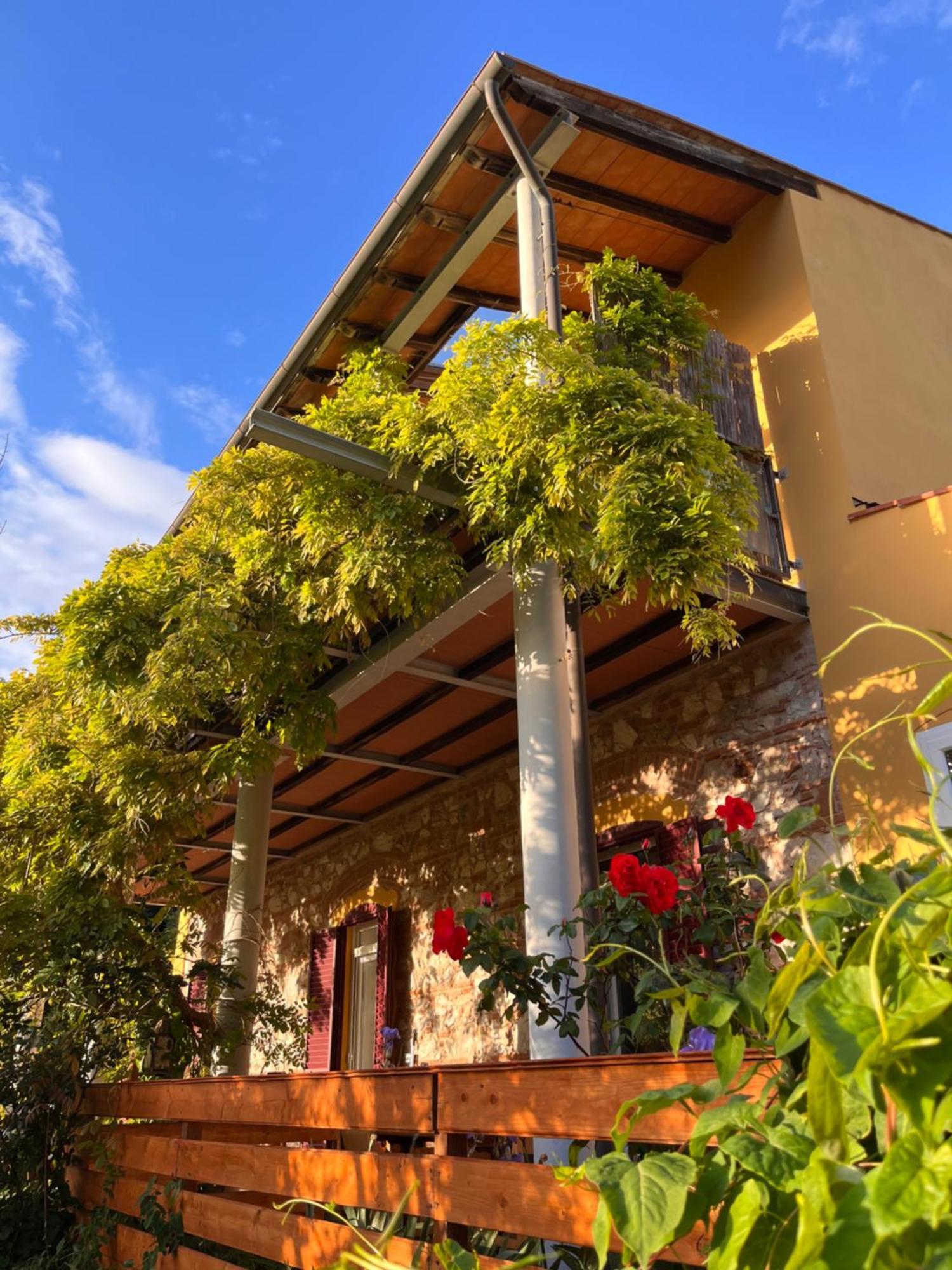 B&B La Fucinaia Pet Friendly Adults Only 坎丕里亚麦利蒂玛 外观 照片