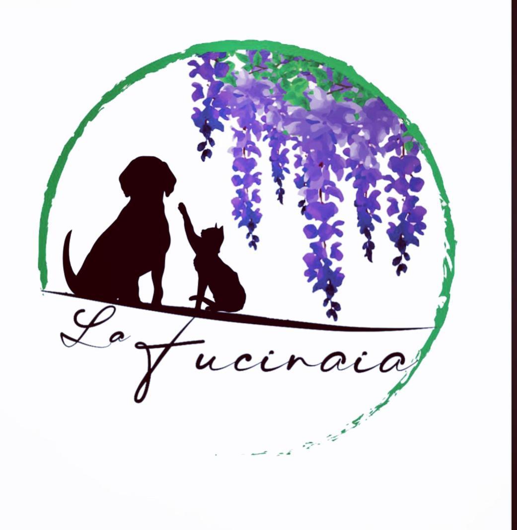 B&B La Fucinaia Pet Friendly Adults Only 坎丕里亚麦利蒂玛 外观 照片