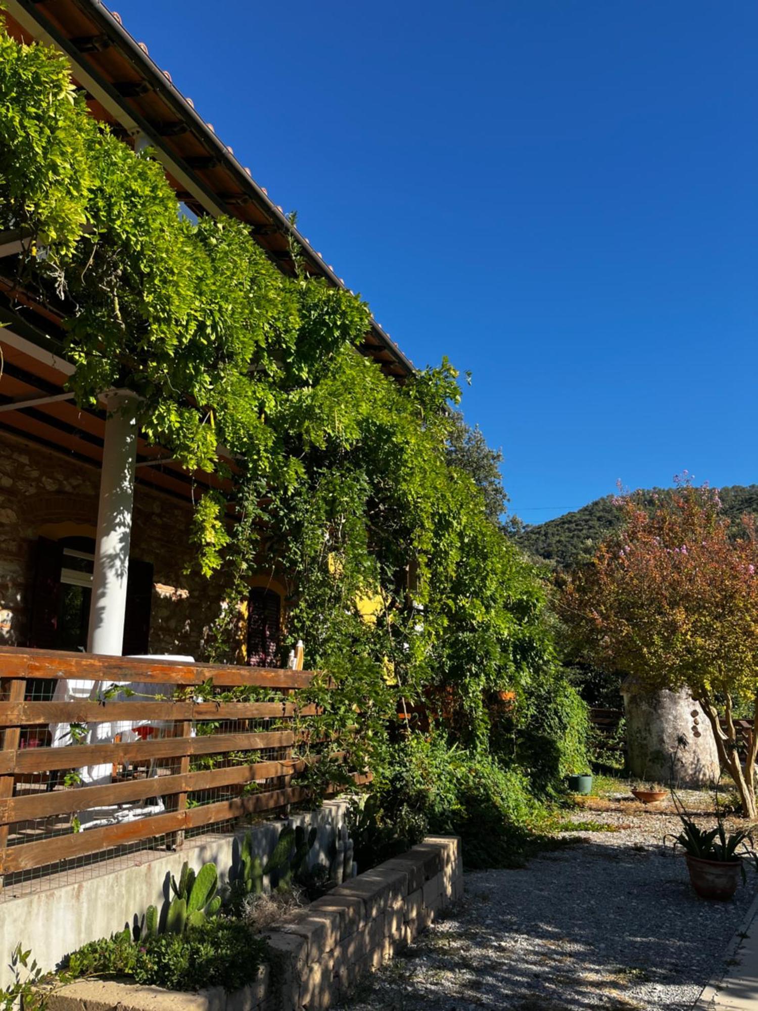 B&B La Fucinaia Pet Friendly Adults Only 坎丕里亚麦利蒂玛 外观 照片