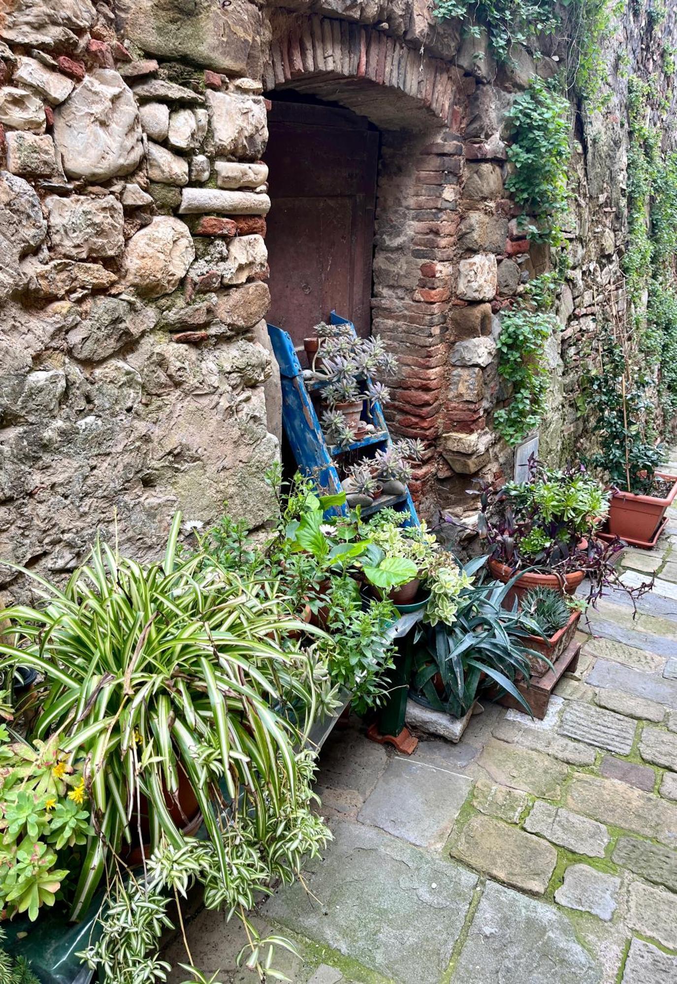 B&B La Fucinaia Pet Friendly Adults Only 坎丕里亚麦利蒂玛 外观 照片