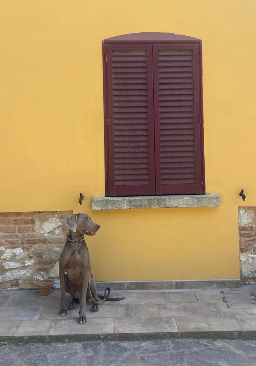 B&B La Fucinaia Pet Friendly Adults Only 坎丕里亚麦利蒂玛 外观 照片