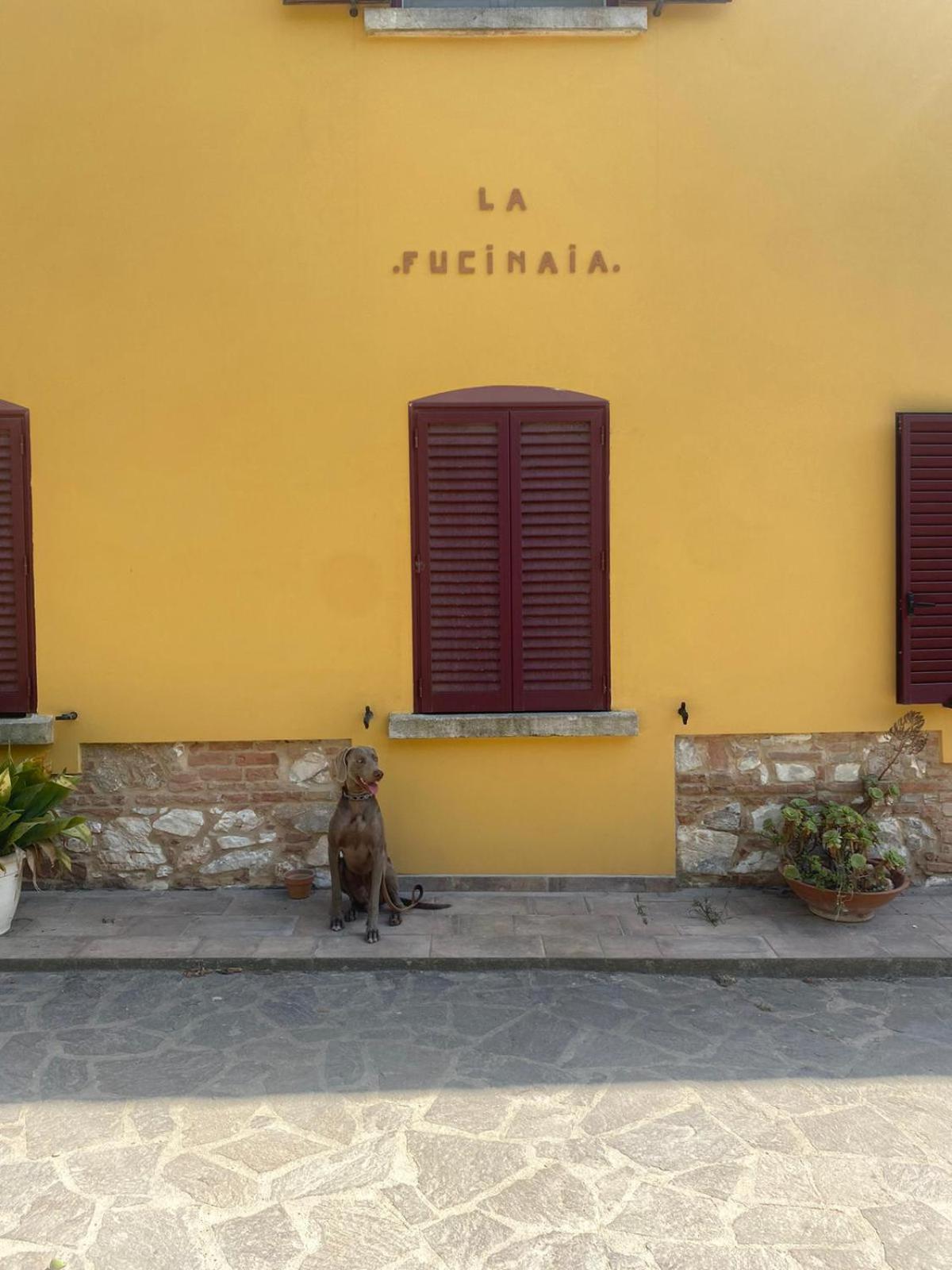 B&B La Fucinaia Pet Friendly Adults Only 坎丕里亚麦利蒂玛 外观 照片